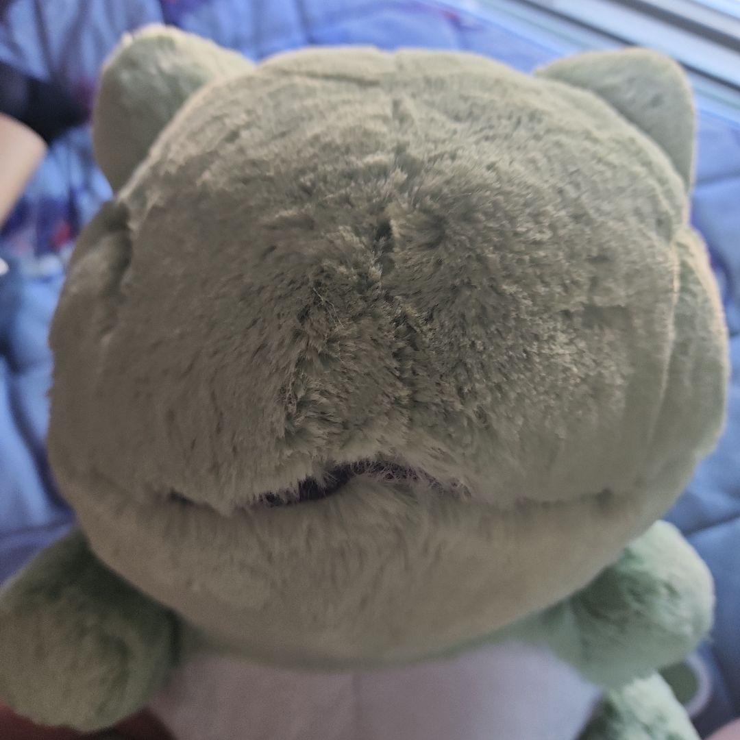 ポケモン ふわふわ抱きぐるみ みがわり