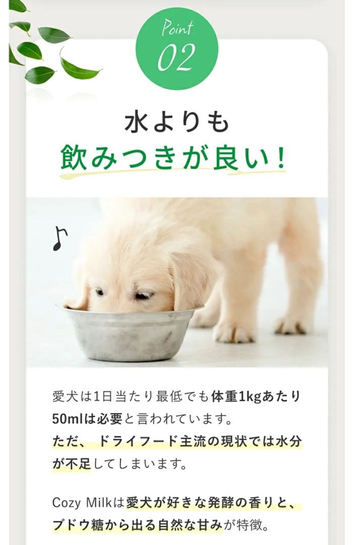 コージーミルク カラダシルク in 腎臓　低リン　低タンパク　脂質ゼロ　甘酒