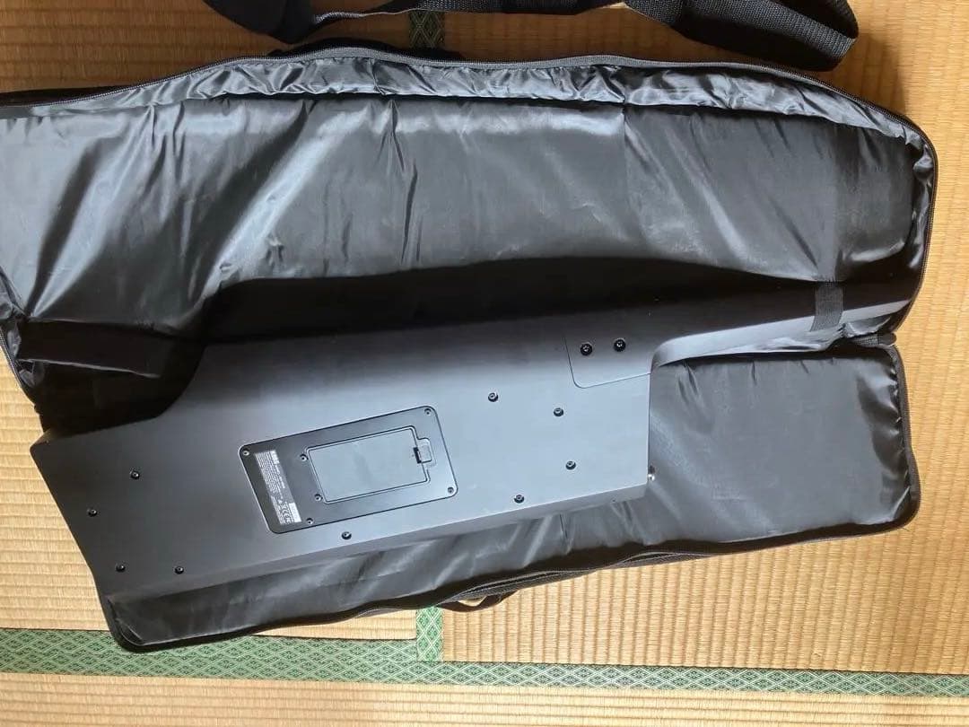 鍵盤楽器 KORG RK-100S 2 KEYTER