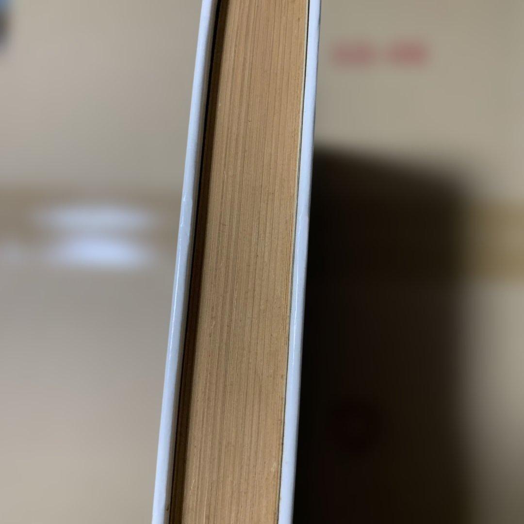 流星群のひみつ 日下実男著