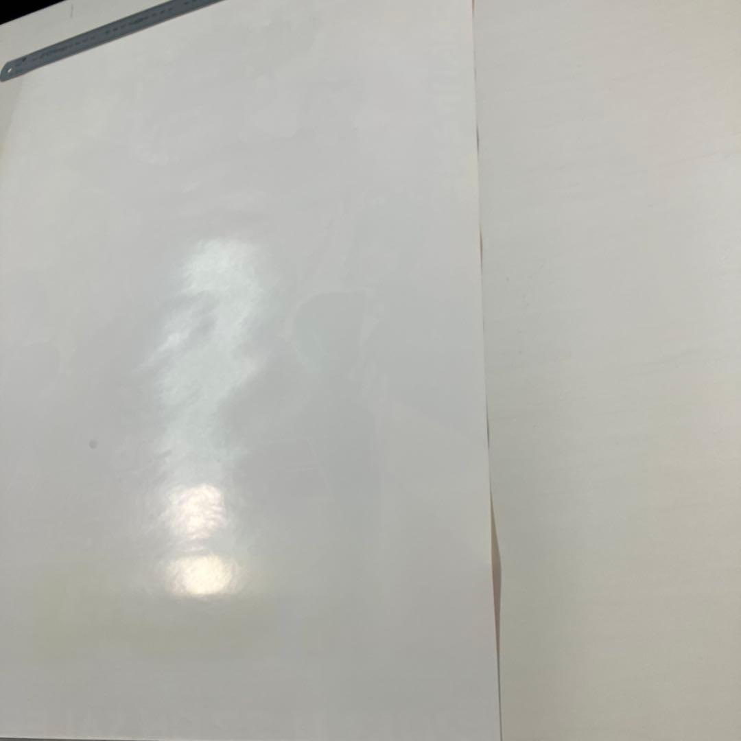 ももクロの子供祭り2013 守れ! みんなの東武動物公園　店頭告知 B2ポスター