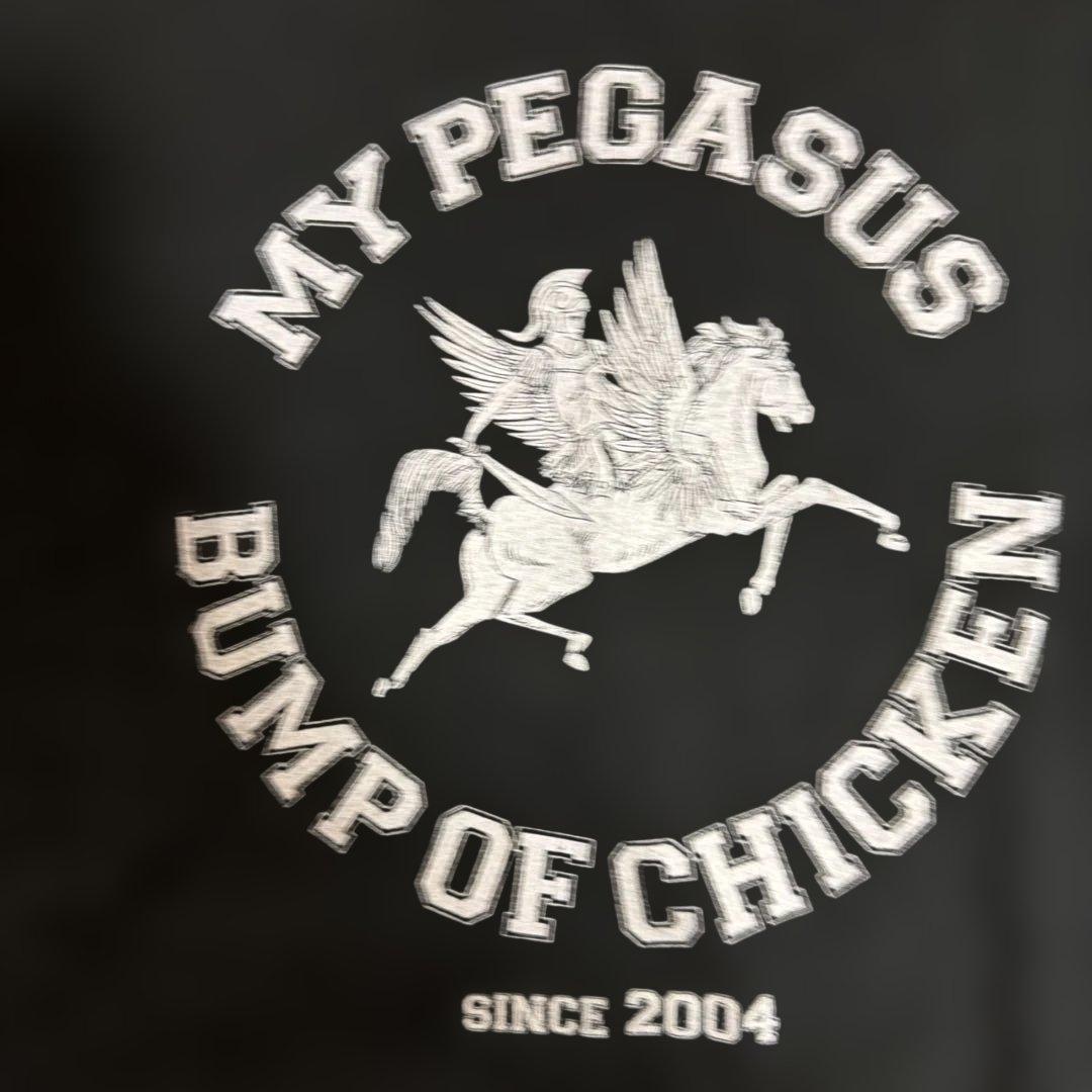 BUMP OF CHICKEN MY PEGASUS 2004 ツアー