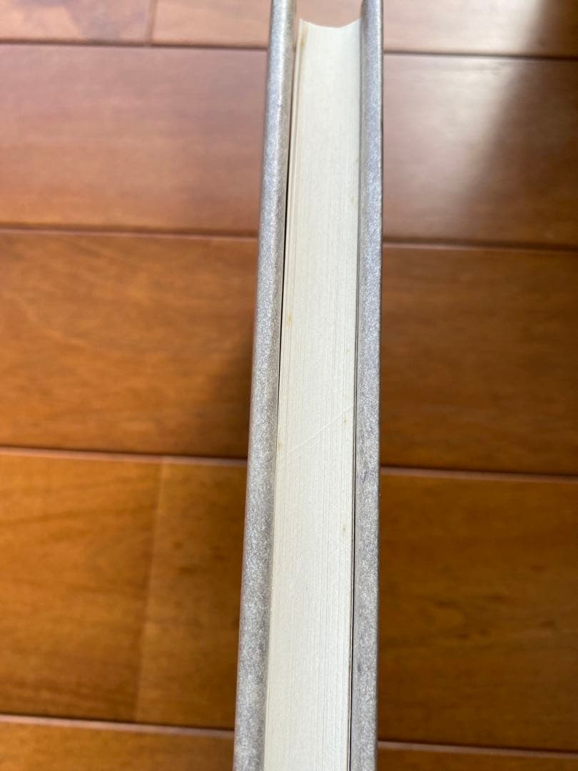 岡田睦『乳房』福武書店