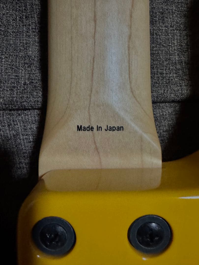 ベース ATELIER Z Buddy of Life