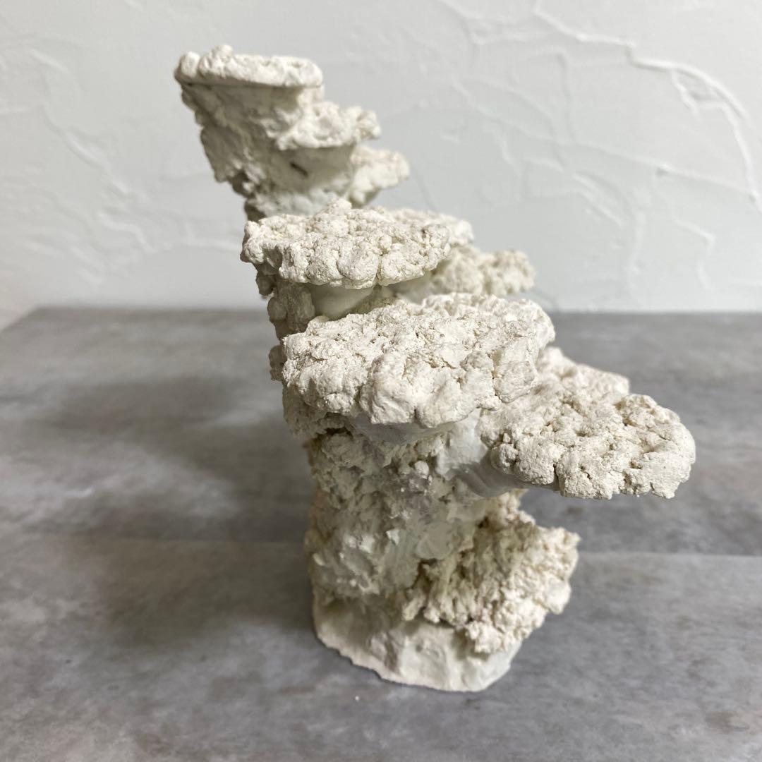 レイアウト済　ホワイト人工石 11個置ける　ライブロック　30cm水槽用