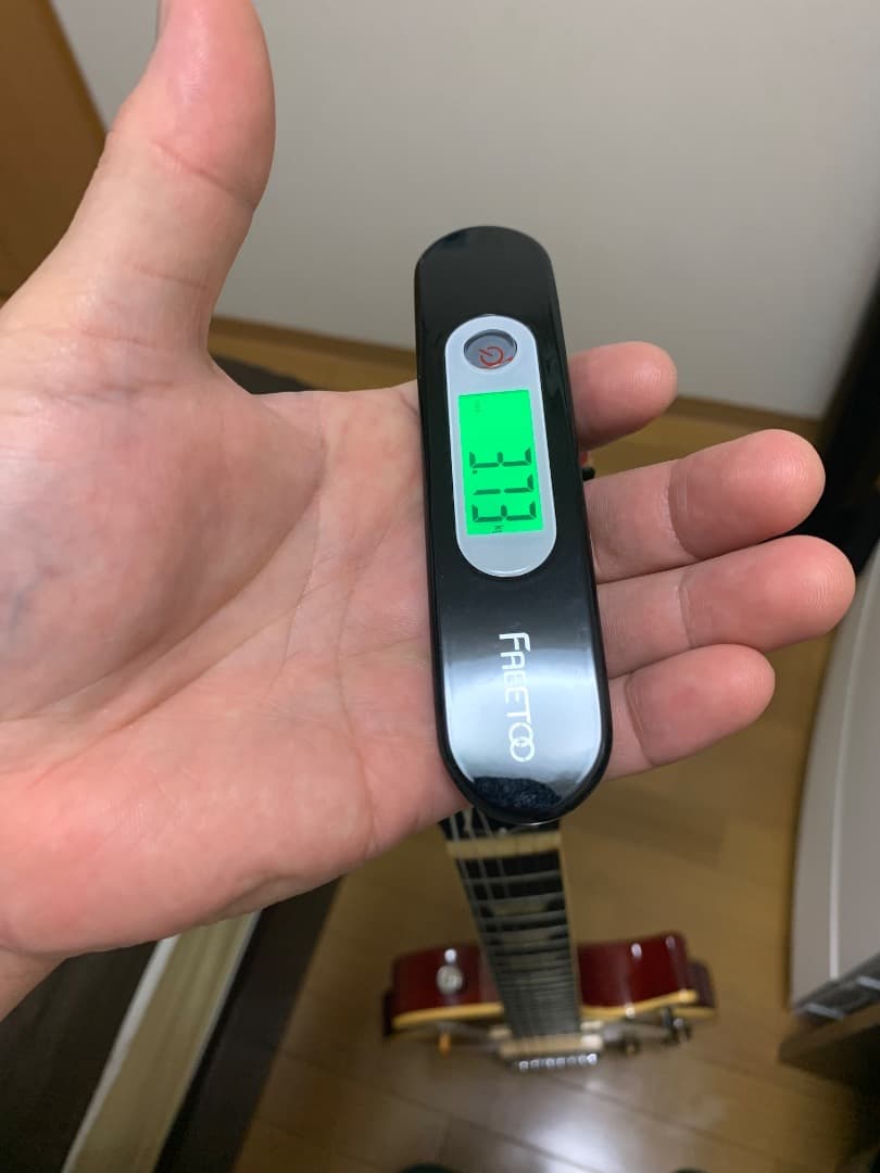 ギター Tokai REBORN OLD (1980)