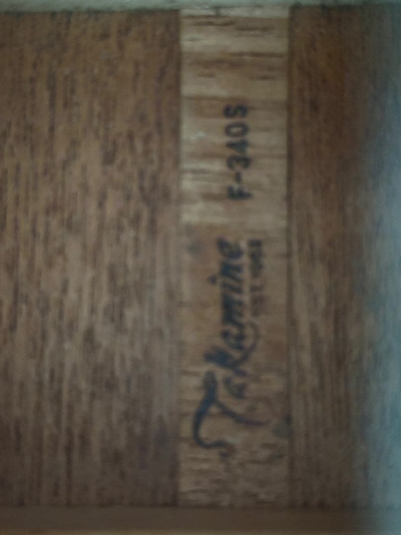 Takamine F340S タカミネ Lawsuit