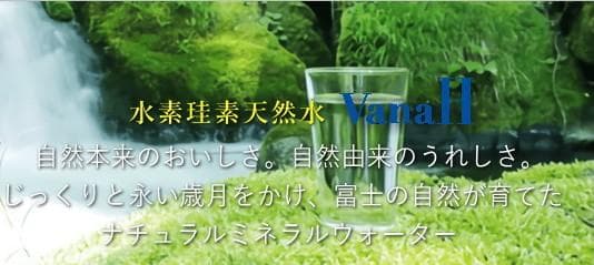 【送料無料】バナエイチ VabnaH 水素水 ケイ素水 1.9L×48本