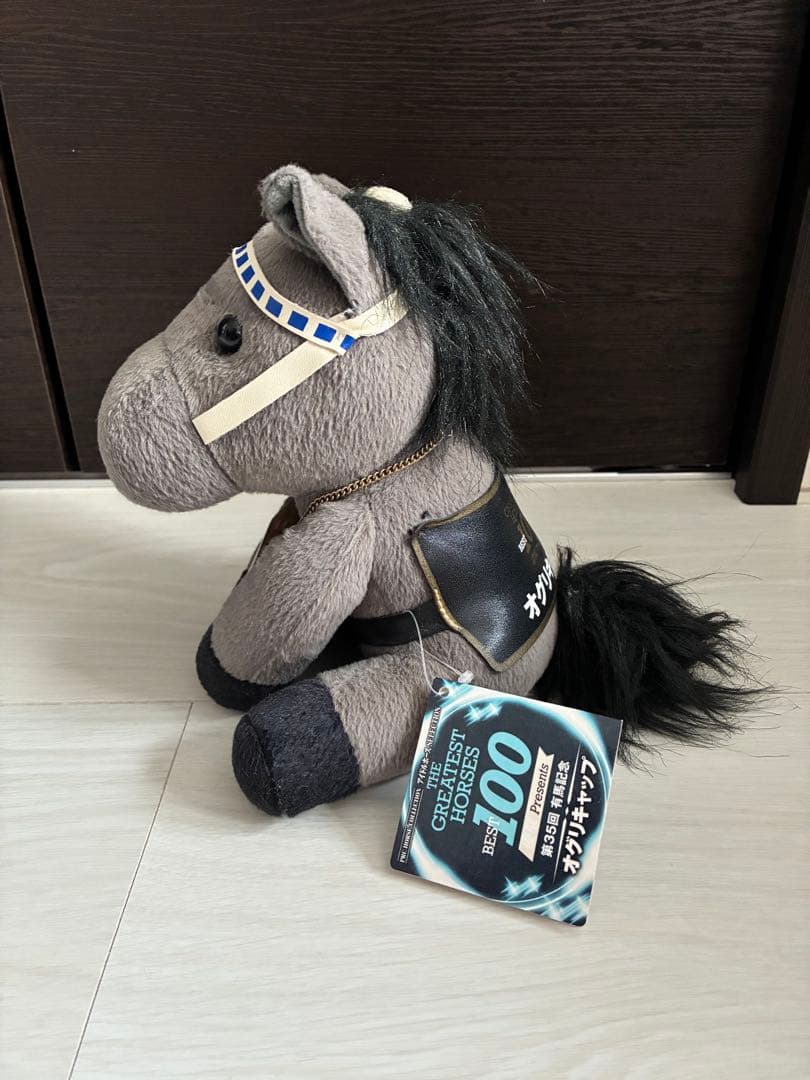 オグリキャップ　アイドルホース