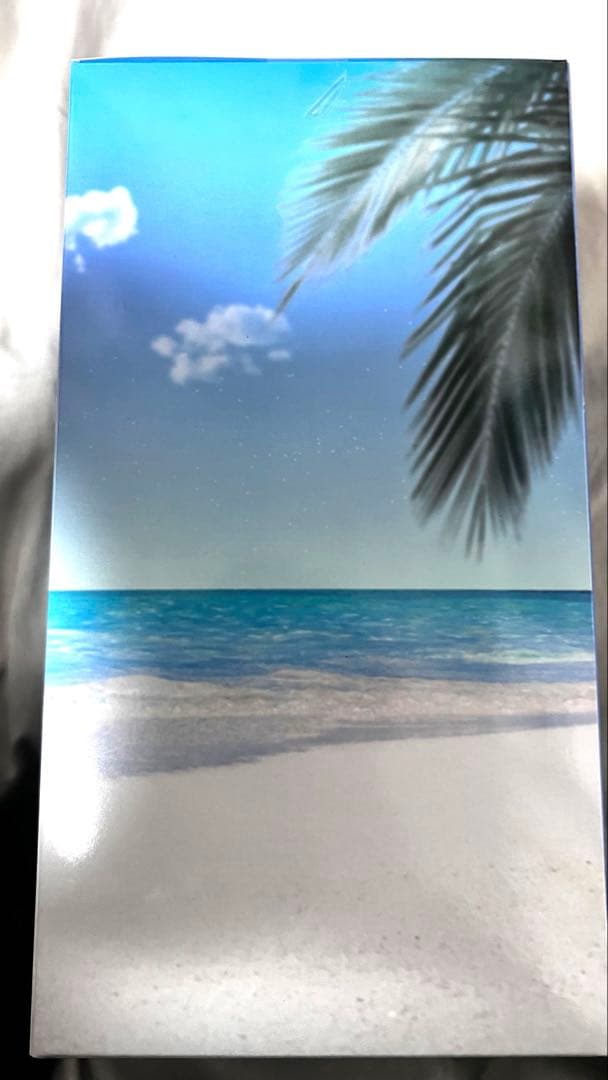 一番くじ Fate/Grand Order C賞 ムーンキャンサー　FGO