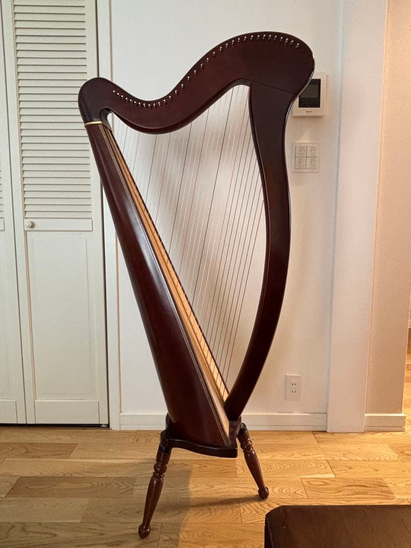 青山ハープ 34弦 130DB 弦楽器
