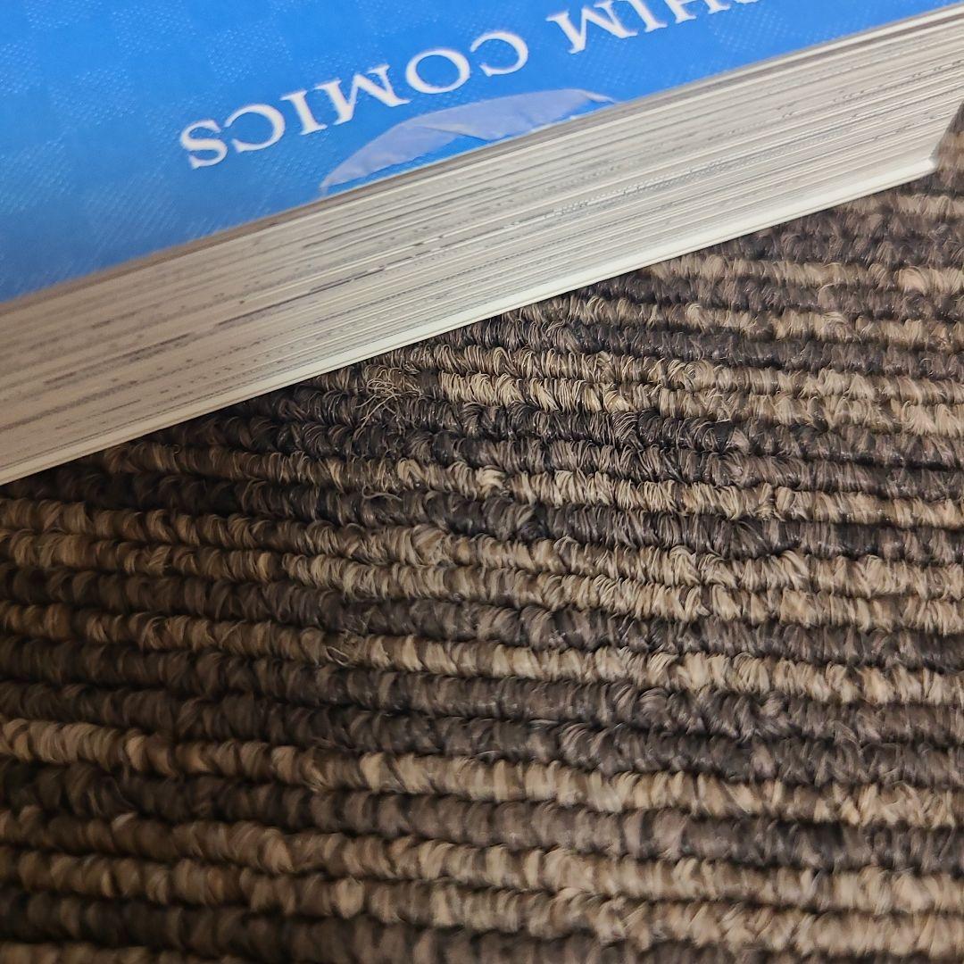 BLUE EYES ブルー·アイズ　9冊セット　むぎむぎ0430