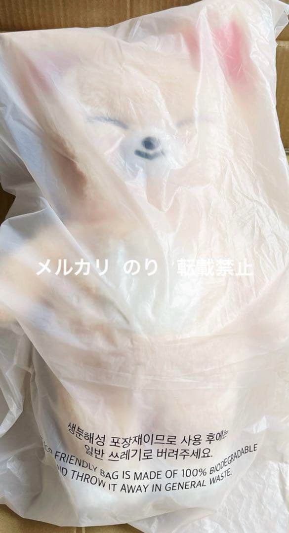 STRAYKIDS SKZ 5clock ぬいぐるみ テディベア アイエン