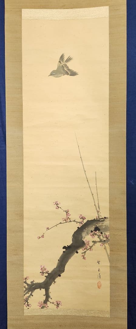【紅梅に鴬図】望月玉渓 2616 ウグイス 望月玉成識箱　掛け軸　肉筆
