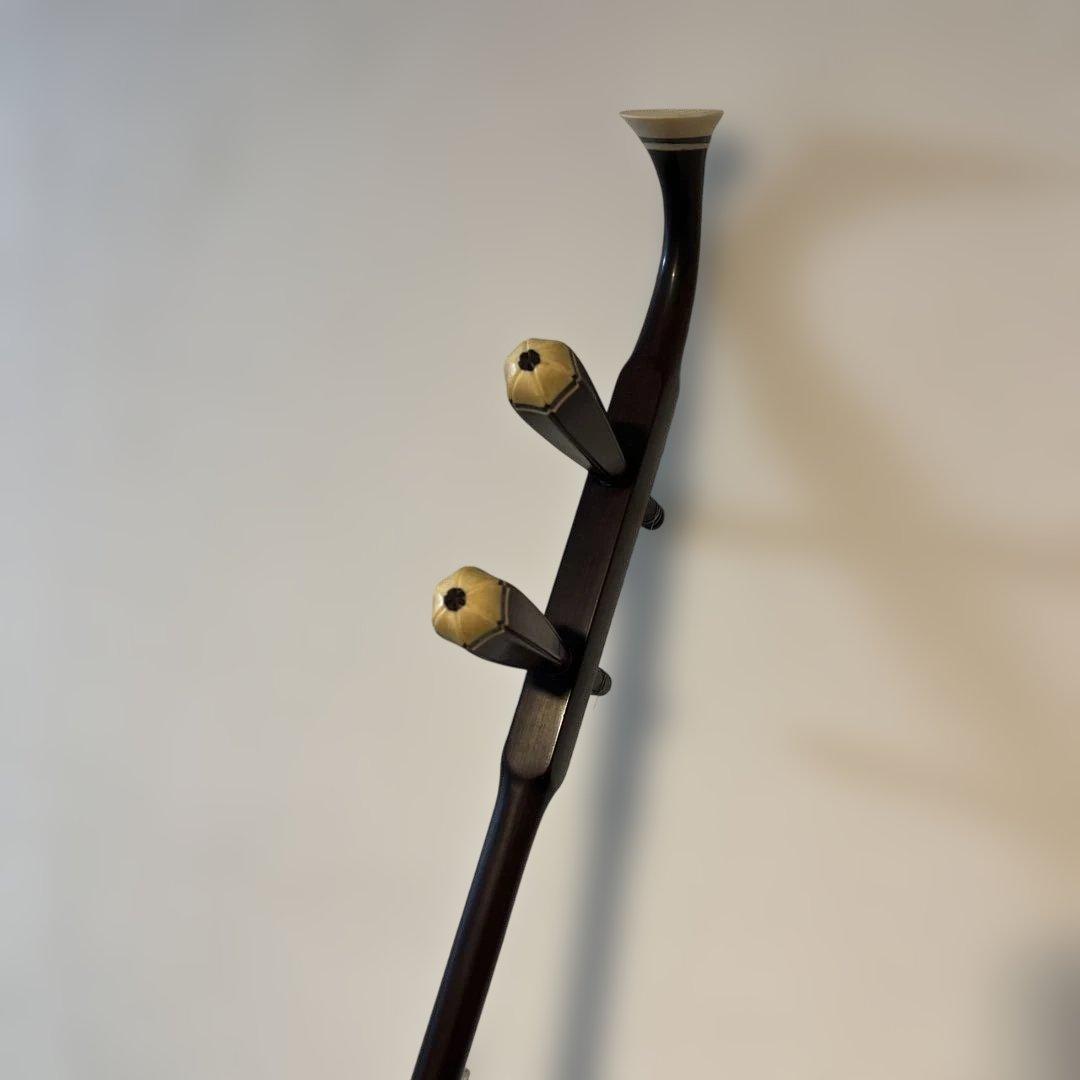 二胡　中国蘇州