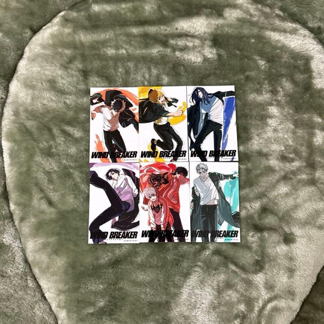WIND BREAKER 完全生産限定版 DVD 特典 BOX 14点セット