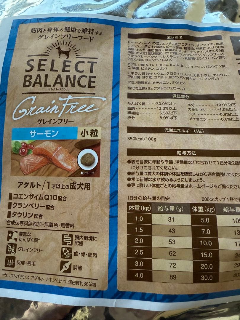 GFサ10◯●ととろページ●◯