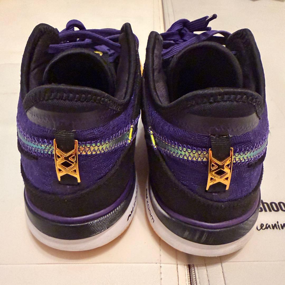 NIKE ズームレブロンネクストGEN DR8788-500 29cm