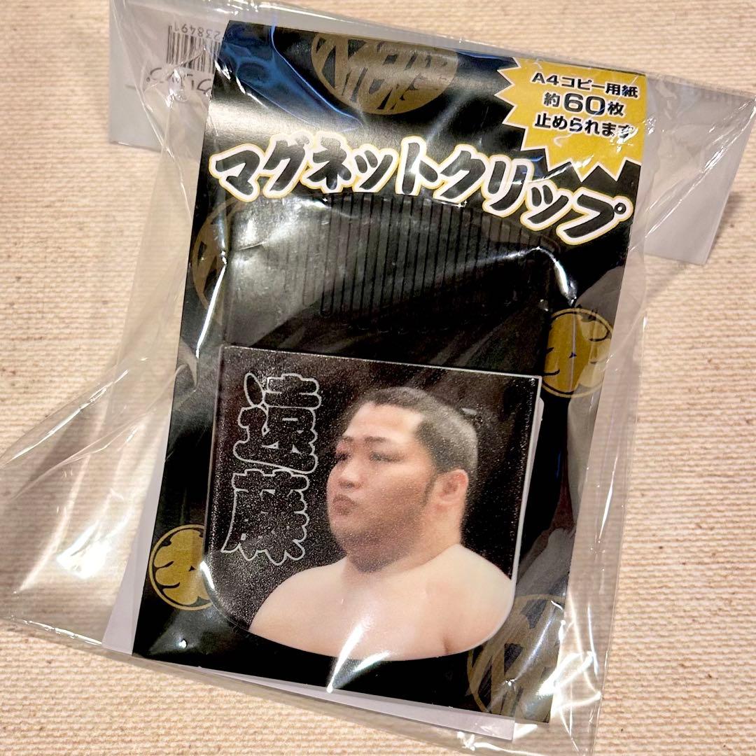 チェブラーシカ様①専用です(1/23まで)