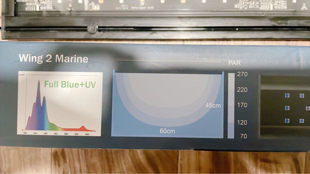 グラッシーウイング２　マリン60センチ