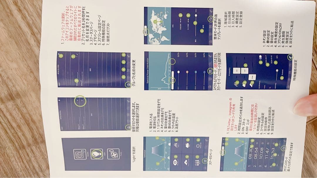 グラッシーウイング２　マリン60センチ