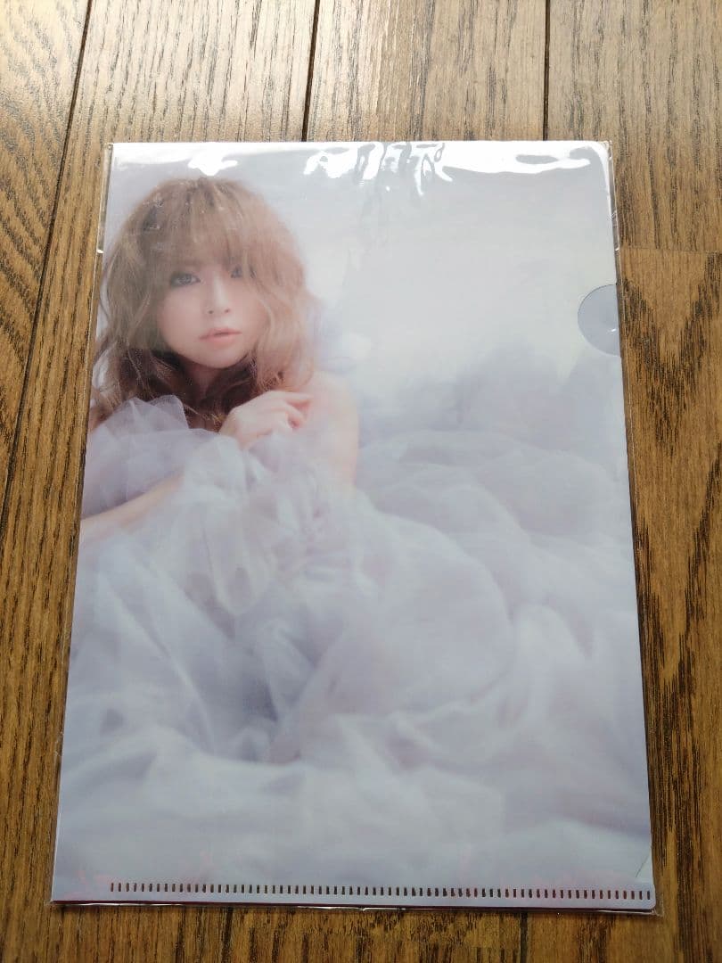 浜崎あゆみ Promised Land TA限定盤　オーロラクリアトートバッグ