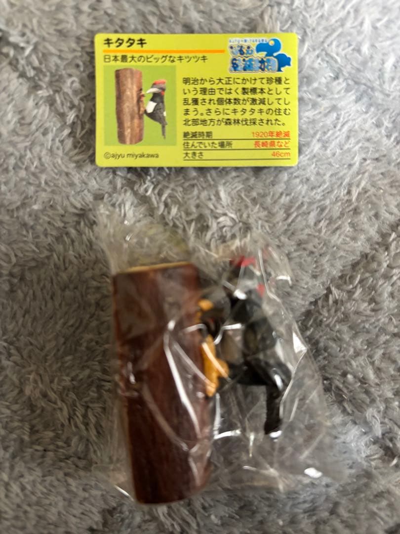 戦え絶滅動物PART2 宮川アジ　ドードー　マンモス　オオカミ　アシカ　キタタキ