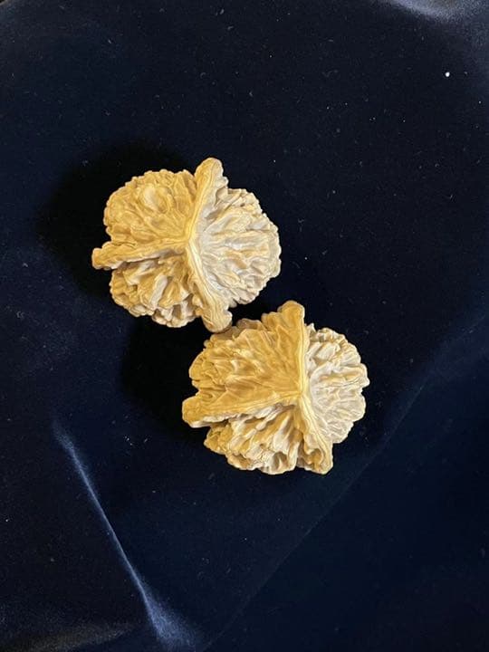 遊び胡桃 超希少 極品 3ムキ 帝王帽 クルミ くるみ コレクション 趣味 健康