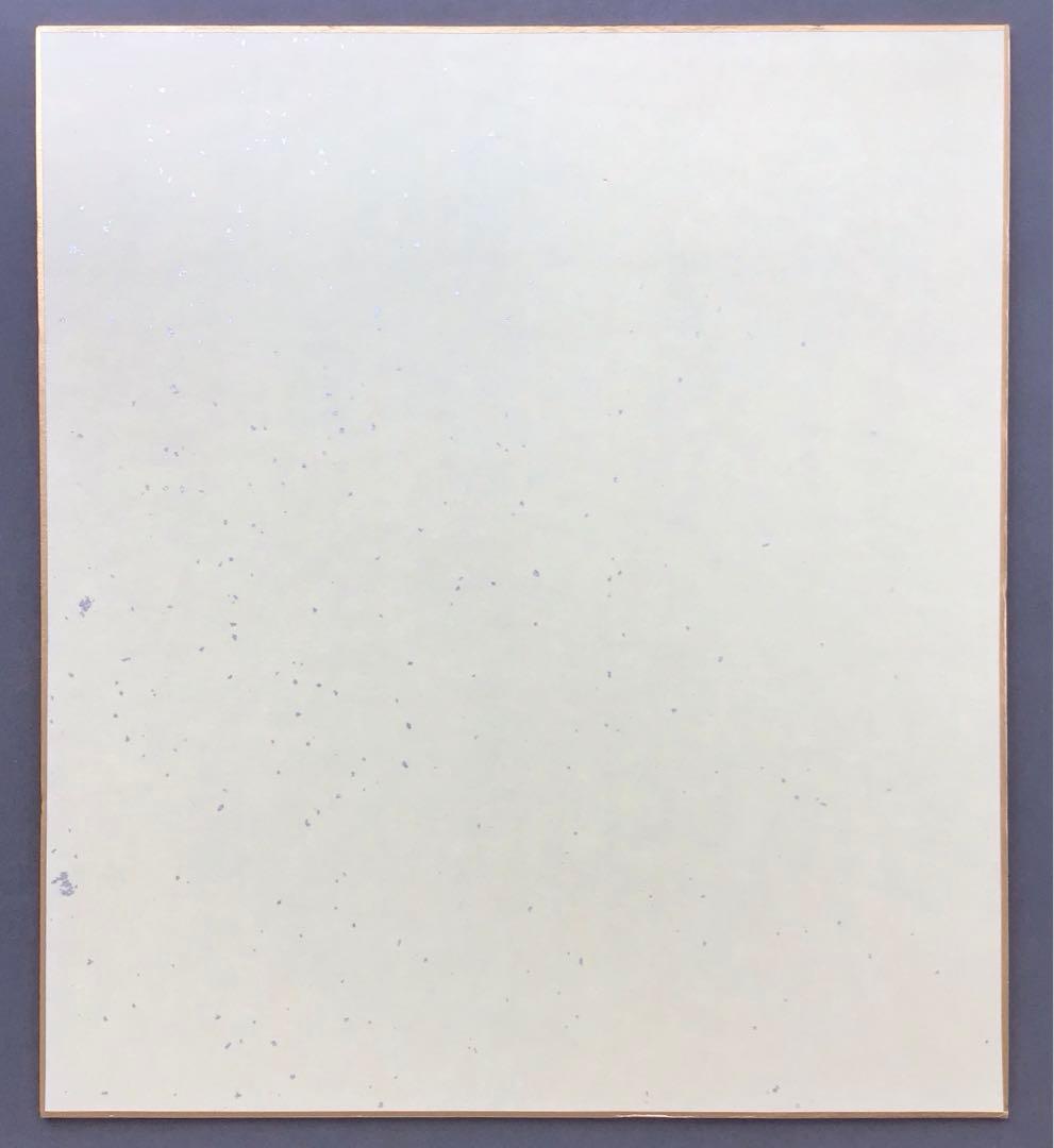 色紙　若乃花、貴乃花直筆揮毫手形　記念写真付　畳紙　配送用袋　S1040SS