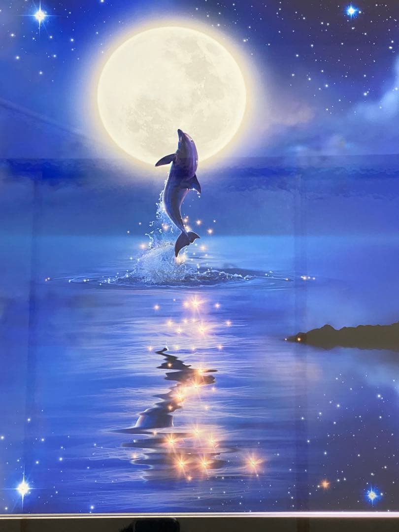 クリスチャンラッセン　ドリーミングナイトL