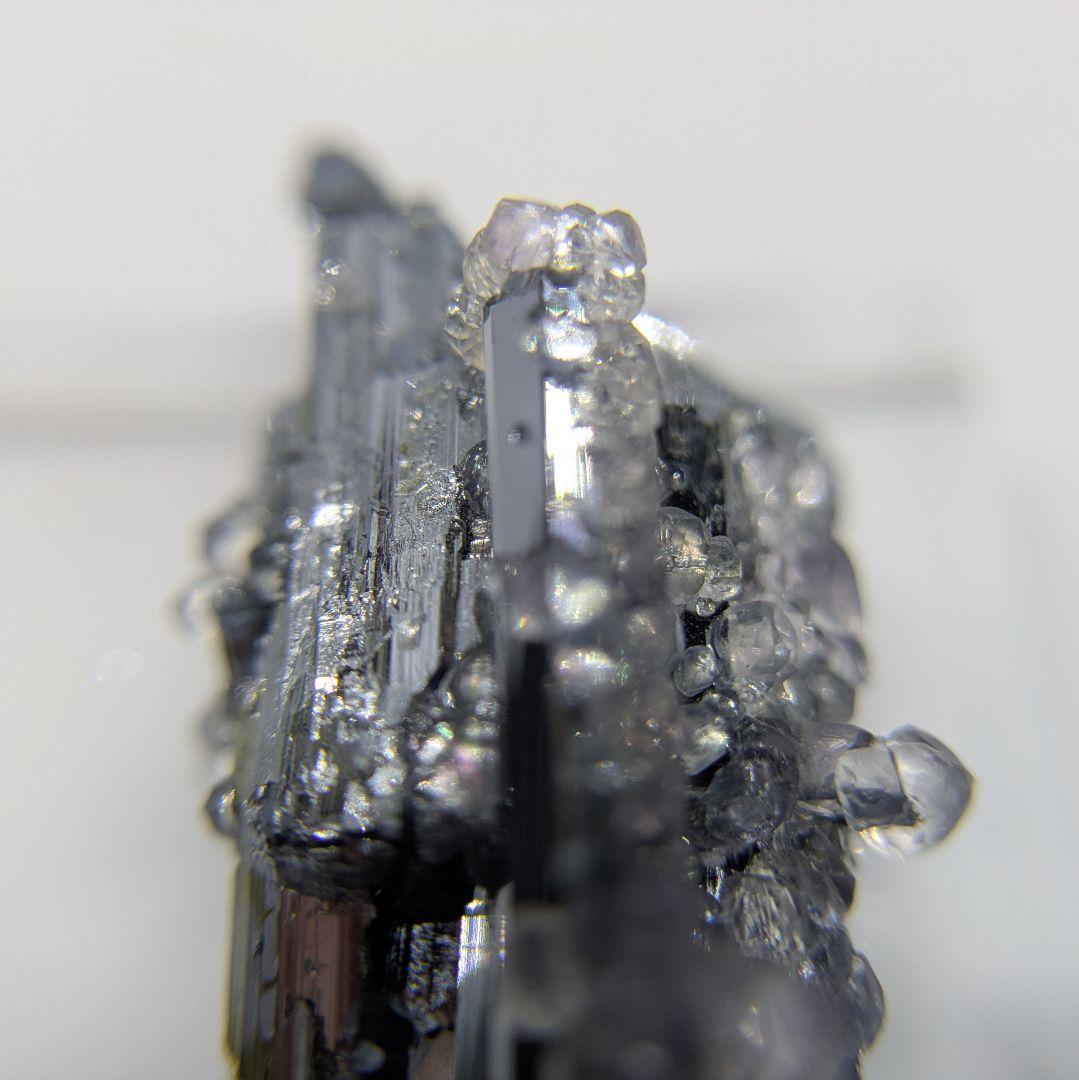 スティブナイト　フローライト　共生