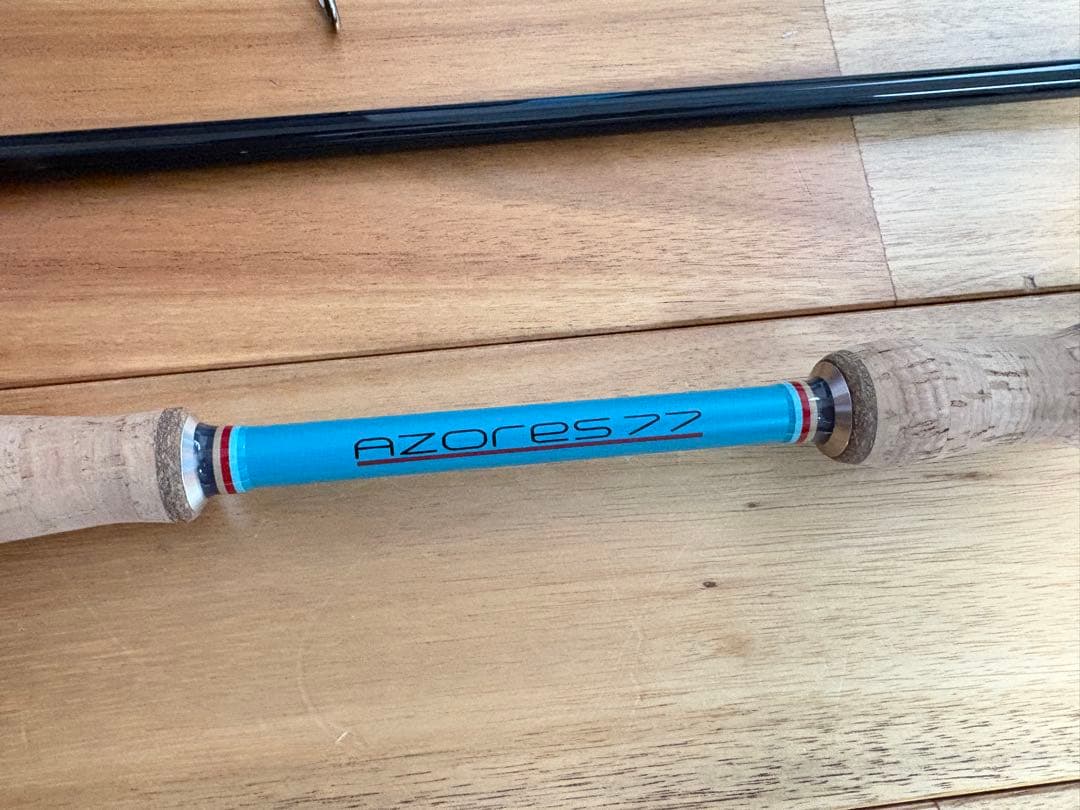 fin-ch フィンチ カナリア アゾレス 77