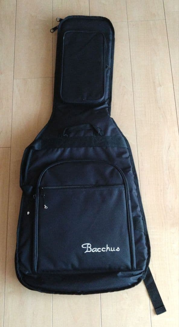 Bacchus DUKE-CTM 薄型ボディ　レスポール