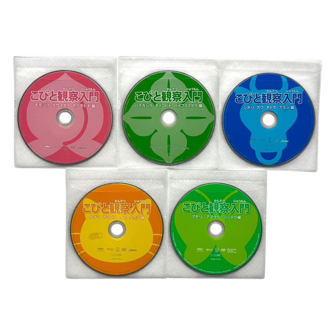 新品ケース DVD 「こびと観察入門 全9巻+こびと大研究」 全10巻 セット