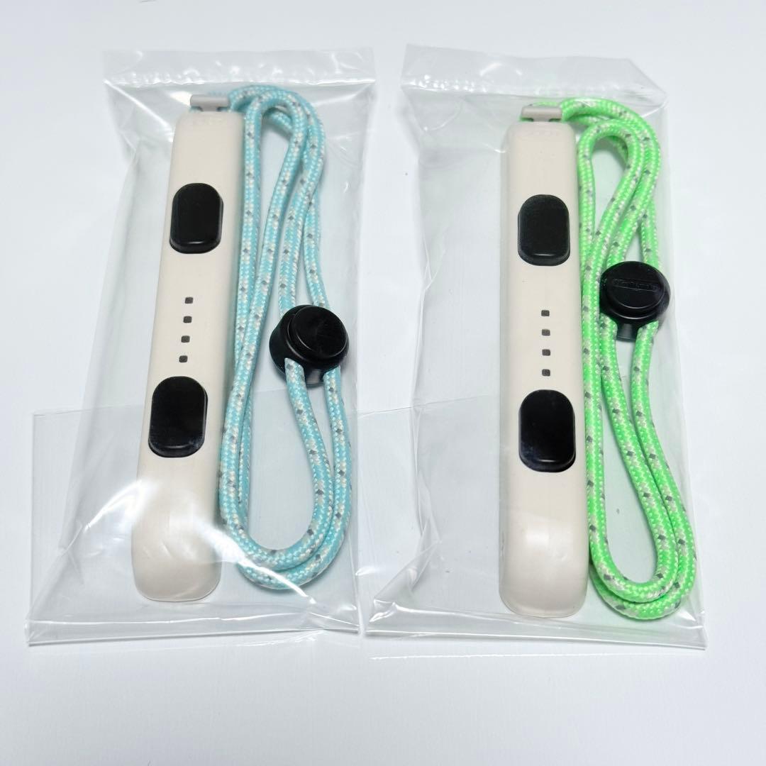 【美品】Nintendo Switch あつまれどうぶつの森 セット 本体