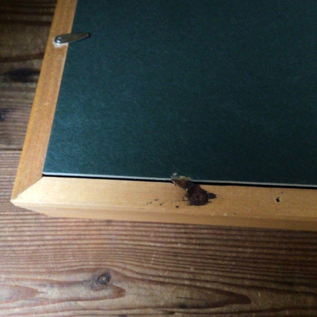 No3341額装　在銘　宗完「上高地」肉筆　彩色紙本　共シール　紙箱付　送料無料