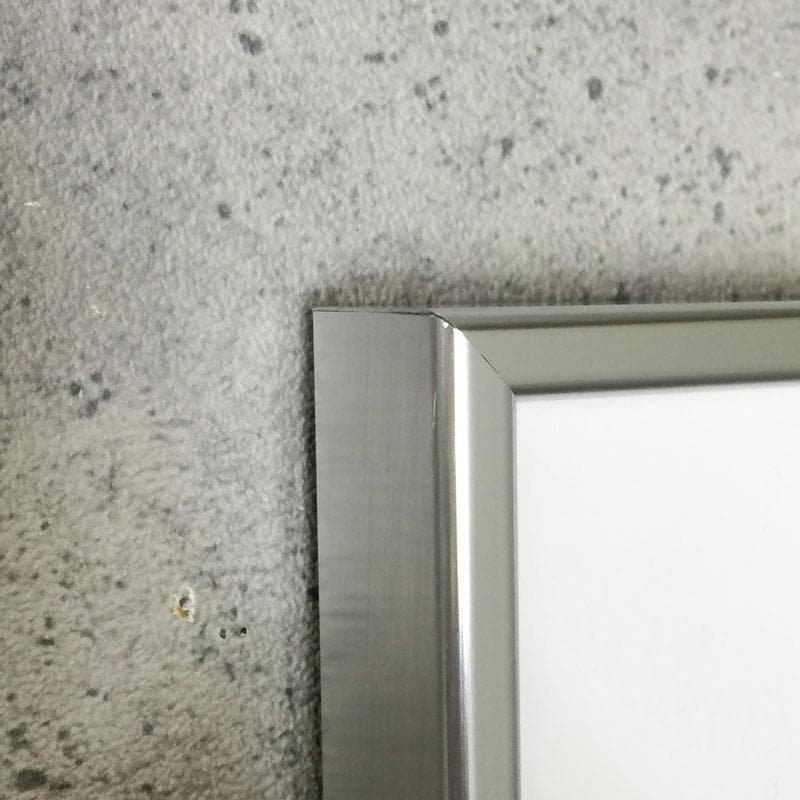 額装品/ブルースウェーバー/Larissa and Extra