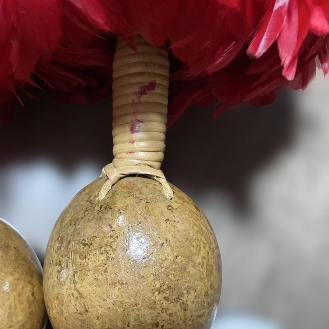 ウリウリ フラダンス楽器　フラ ハワイ