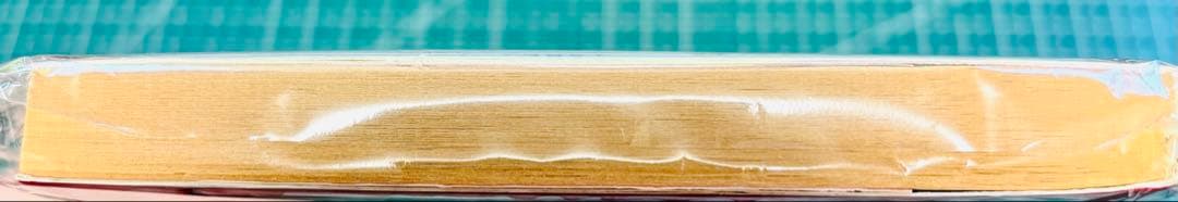 ♡レア♡初版♡グースバンプス 死を招くカメラ