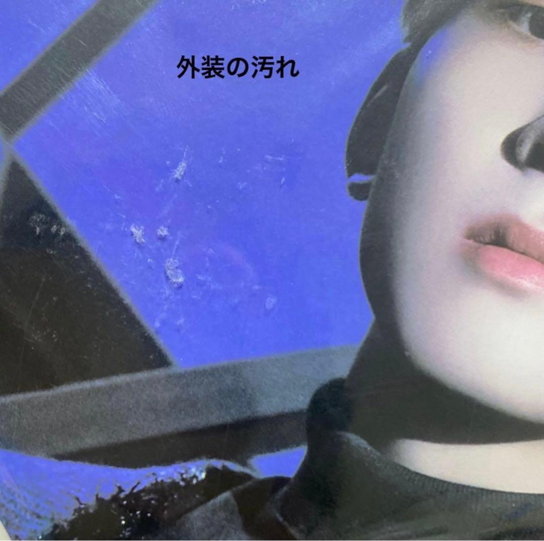 SEVENTEEN ウォヌ ホリコレ うちわ ピケット セブチ