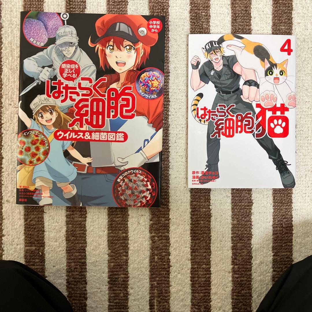★はたらく細胞★計39冊