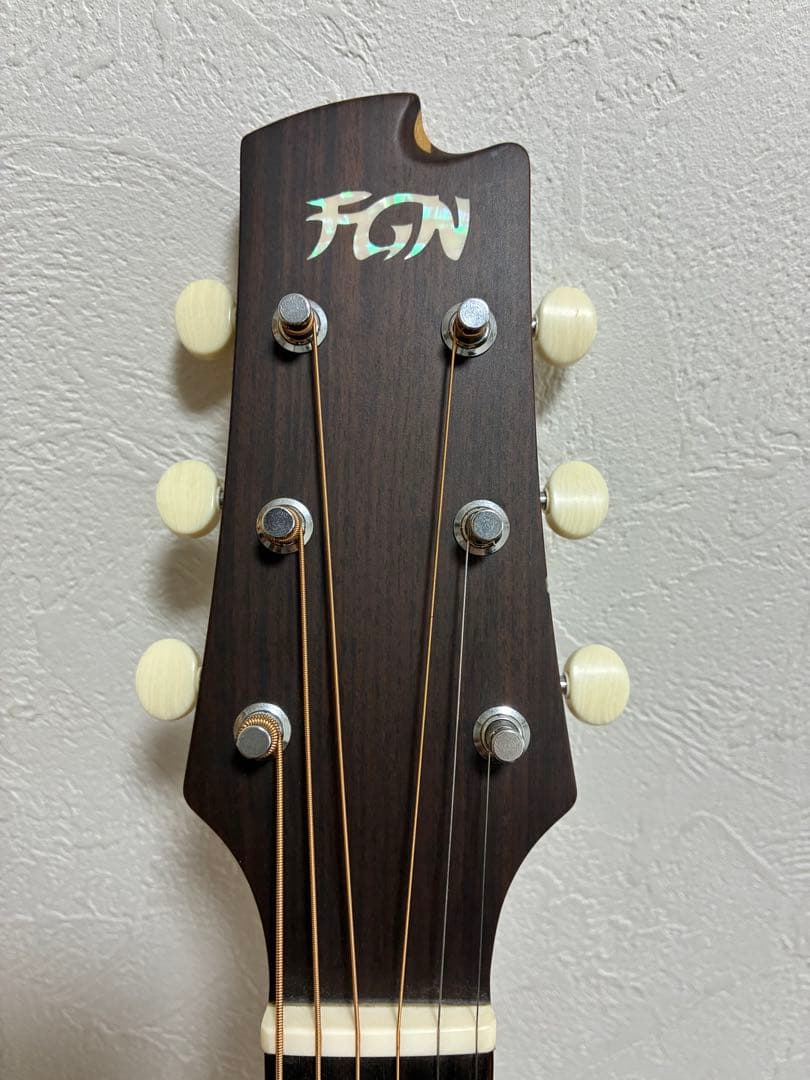 たけC　FGN AG1E