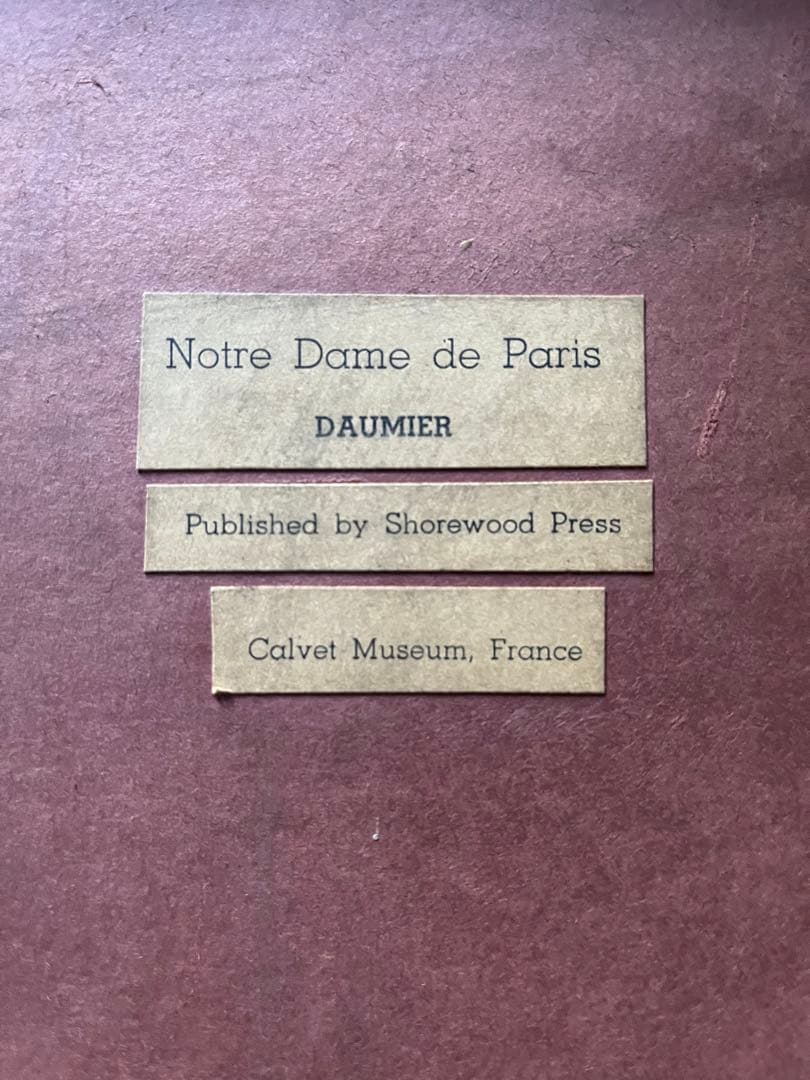 ノートルダム絵画、ノートルダムドパリ、ドーミェ、カルヴェ美術館、フランス