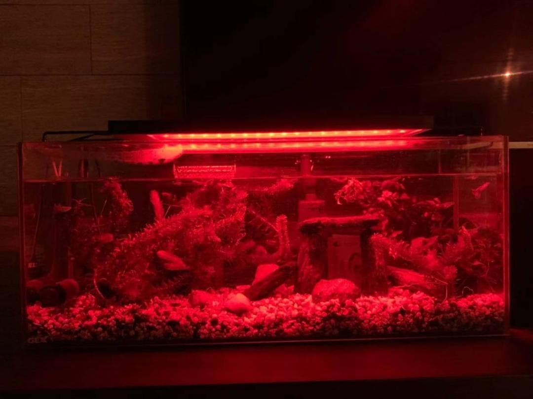 極BLUES LED アクアリウムライト120cm～135cm沖縄送料付