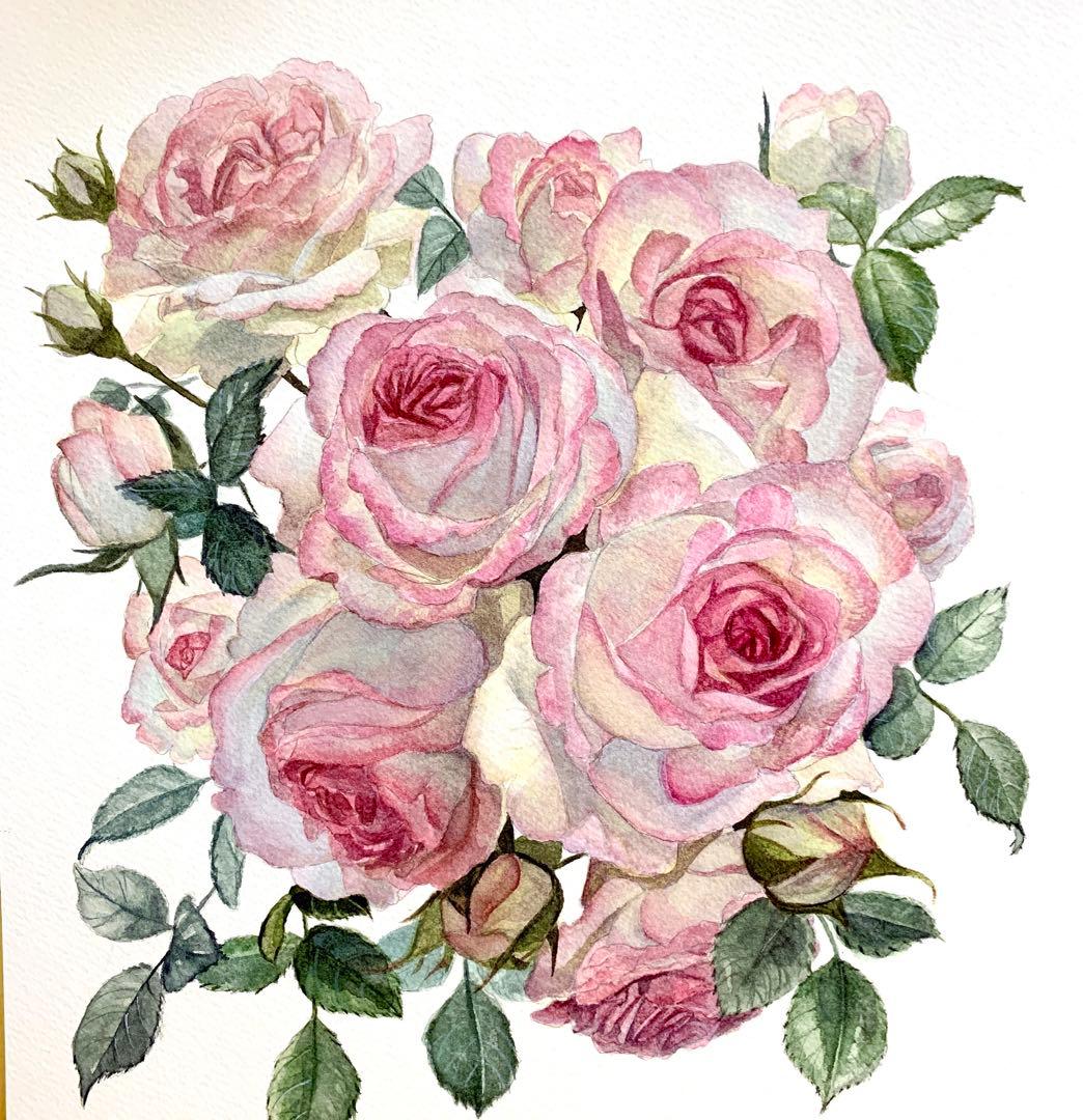 薔薇　水彩画