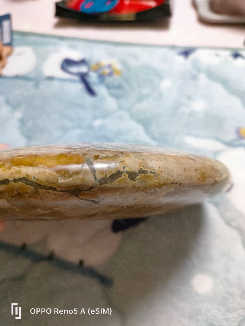 ☆アンモナイト☆約1キロある！？