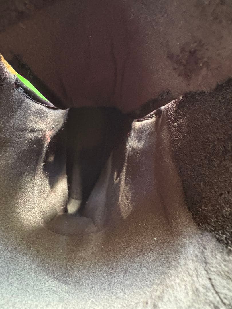 パ*コ様 BURTON バートン RULER BOA WIDE US8.5