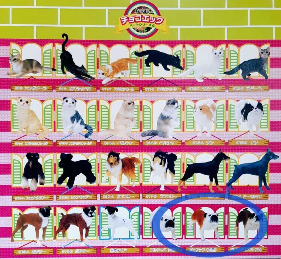 5匹まとめ売り ブルドッグ チョコエッグ スクラッチ当選品など