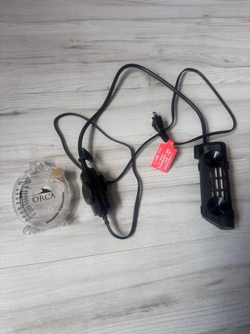 やっちゃん　Shell 水槽