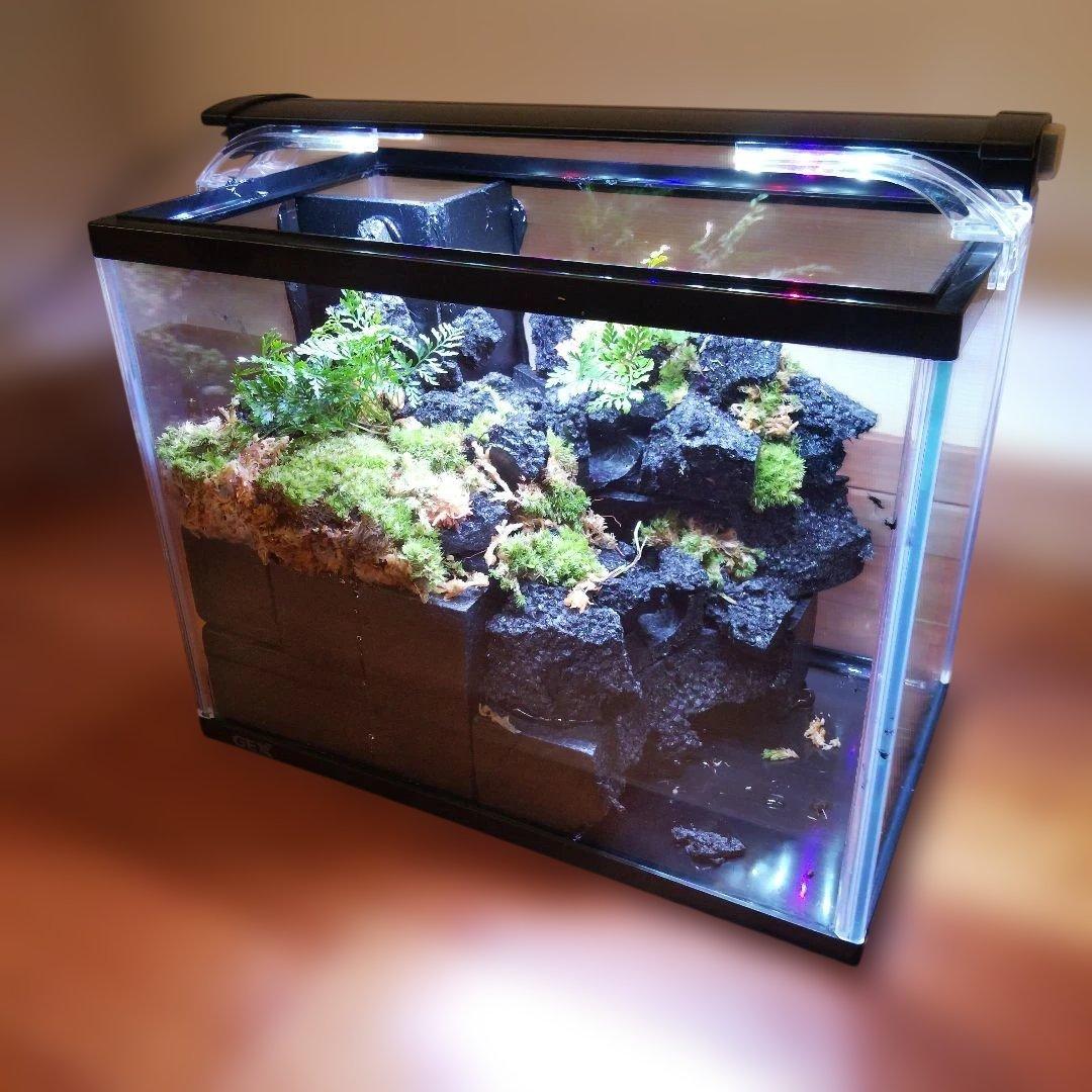 【受注生産】滝の流れるアクアテラリウム　イモリウム　苔　水槽　苔テラリウム